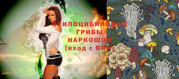 дурь Сосновый Бор