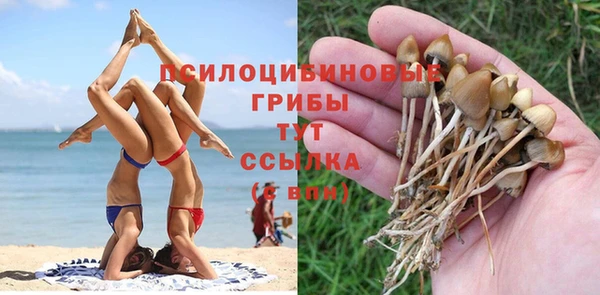 соль ск Балахна