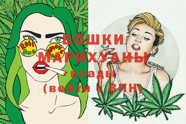 соль ск Балахна